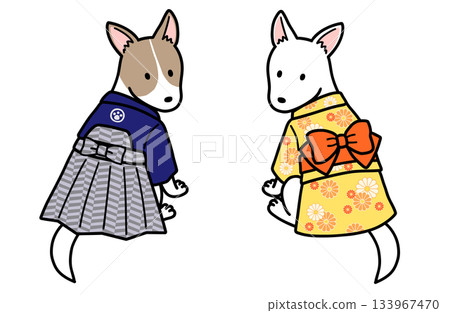 Male and female dogs wearing kimonos 133967470