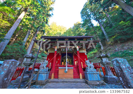 Autumn at Horaisan Toshogu Shrine Autumn at Horaisan Toshogu Shrine 133967582