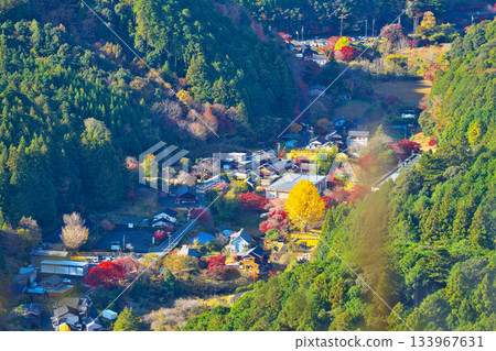 Horokodera山秋葉 133967631
