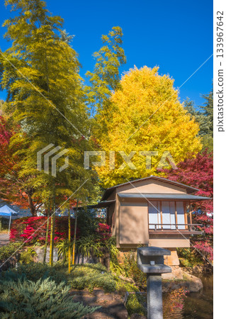 Tea house surrounded by autumn leaves at Nerima Municipal Mukoyama Garden Tea house surrounded by autumn leaves at Nerima Municipal Mukoyama Garden 133967642