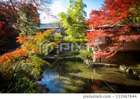 A garden landscape colored by autumn leaves at Nerima Ward Mukoyama Garden A garden landscape colored by autumn leaves at Nerima Ward Mukoyama Garden 133967644