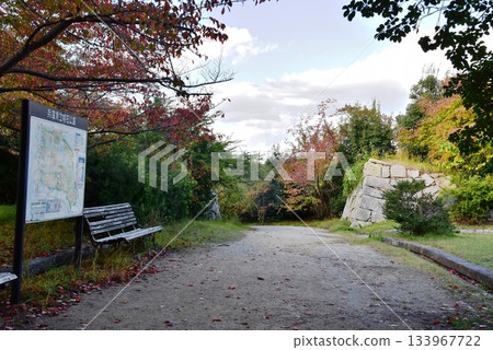 Walking trails, stone walls, and autumn leaves near the main enclosure of Akashi Castle (Akashi Park) in Hyogo Prefecture 133967722