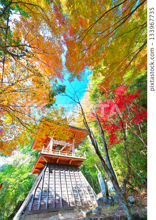 Horaiji寺廟秋葉 Horaiji寺廟秋葉 133967735