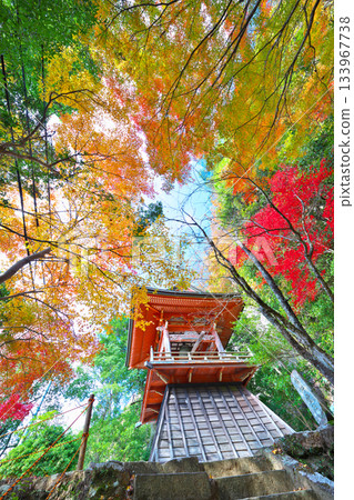 Autumn leaves of Horaiji Temple Autumn leaves of Horaiji Temple 133967738