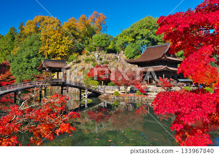 Nagoji Temple in autumn 133967840