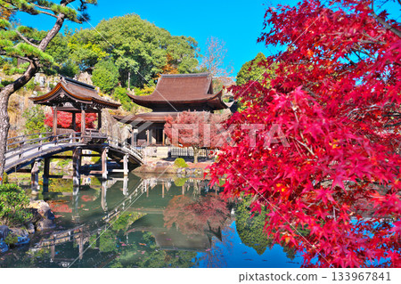 Nagoji Temple in autumn 133967841