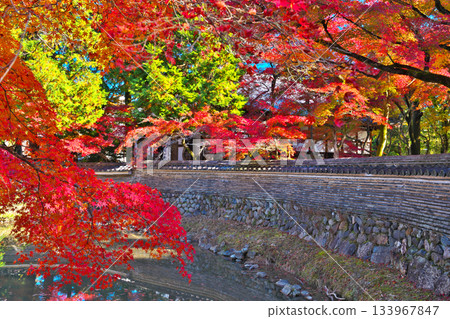 Nagoji寺廟在秋天 Nagoji寺廟在秋天 133967847