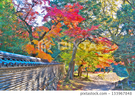 Nagoji Temple in autumn Nagoji Temple in autumn 133967848