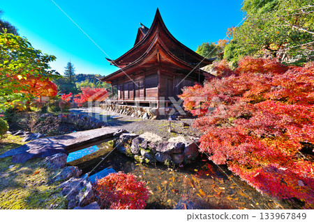 Nagoji Temple in autumn Nagoji Temple in autumn 133967849