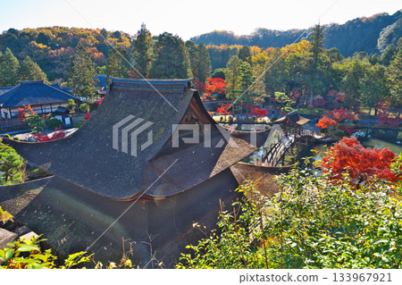 Nagoji Temple in autumn Nagoji Temple in autumn 133967921