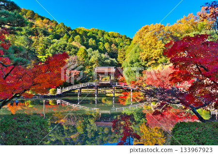 Nagoji Temple in autumn Nagoji Temple in autumn 133967923