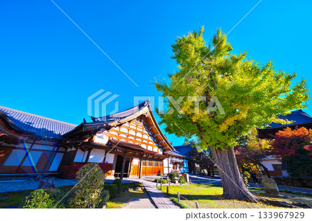 Nagoji Temple in autumn Nagoji Temple in autumn 133967929