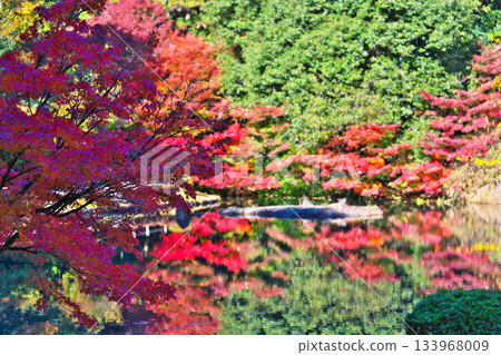 Nagoji Temple in autumn 133968009