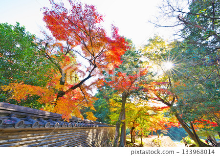 Nagoji Temple in autumn Nagoji Temple in autumn 133968014