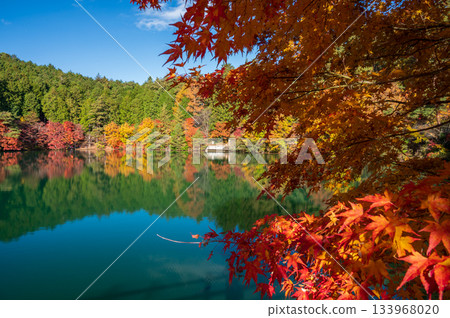 Scenery of Lake Minami-Inaga with autumn leaves Lake Minami-Inaga in autumn Scenery of Lake Minami-Inaga with autumn leaves Lake Minami-Inaga in autumn 133968020