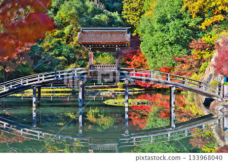 Nagoji Temple in autumn 133968040