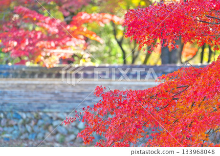 Nagoji Temple in autumn Nagoji Temple in autumn 133968048