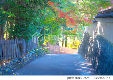 Nagoji Temple in autumn Nagoji Temple in autumn 133968063