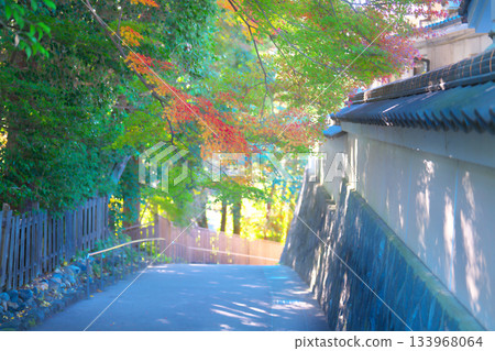 Nagoji Temple in autumn Nagoji Temple in autumn 133968064