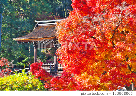 Nagoji Temple in autumn Nagoji Temple in autumn 133968065