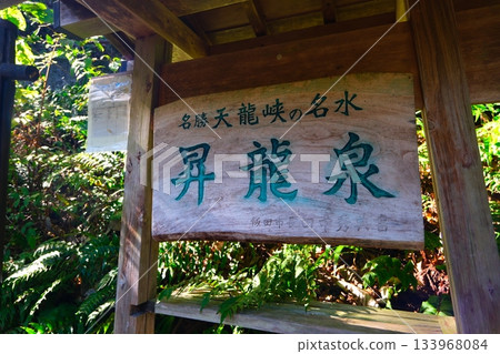 Tenkyo Tenkyo 133968084