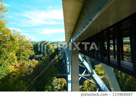 Tenkyo Tenkyo 133968087