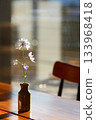 A houseplant in a small glass vase in the setting sun 133968418
