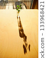 A houseplant in a small glass vase in the setting sun 133968421