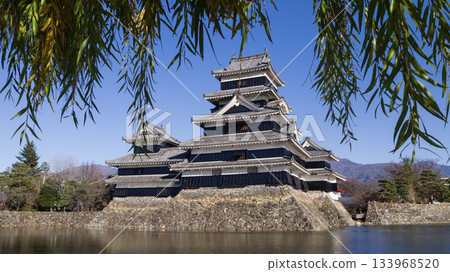 Matsumoto Castle and willow trees on a clear autumn day on November 29, 2025 133968520