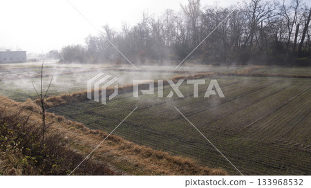 2025年11月30日，安曇野王芥末農場，晨霧 133968532