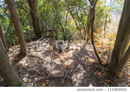 志木山城 目岳要塞（生駒山脈） 133969083