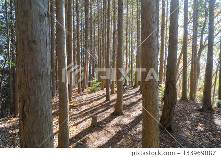 志木山城 目岳要塞（生駒山脈） 133969087