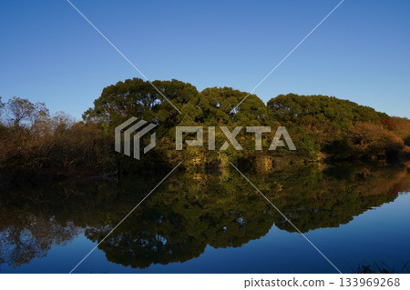 Autumn leaves reflected on the water 133969268