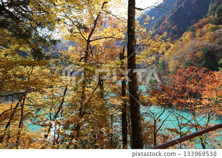 黑部鐵道：從電車上望去，鈷藍色的黑部川和秋色斑斕的山巒盡收眼底。 133969538