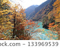黑部鐵道：從電車上望去，鈷藍色的黑部川和秋色斑斕的山巒盡收眼底。 133969539
