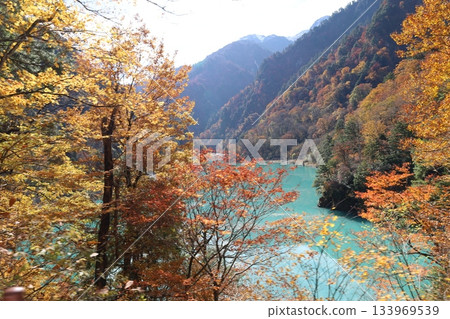 黑部鐵道：從電車上望去，鈷藍色的黑部川和秋色斑斕的山巒盡收眼底。 133969539