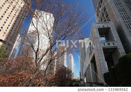 High-rise building group in Shinjuku 133969562