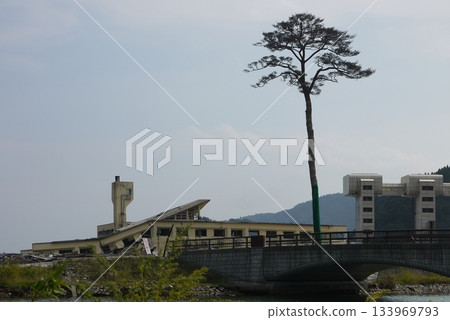 2012年陸前高田市，奇蹟松樹（保護與養護前） 133969793