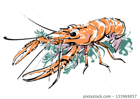 Pheasant shrimp Pheasant shrimp 133969857