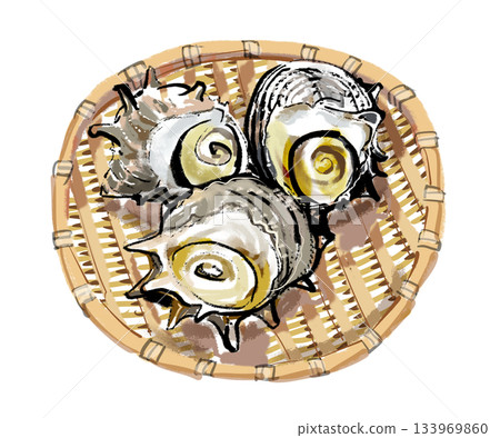 漏勺上的渦螺 133969860