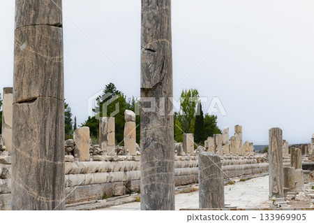 土耳其以弗所遺址大理石街 133969905