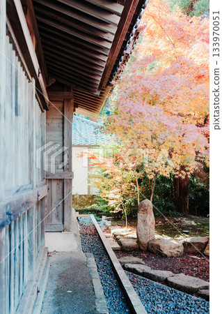 Beautiful autumn leaves in Dazaifu Beautiful autumn leaves in Dazaifu 133970051