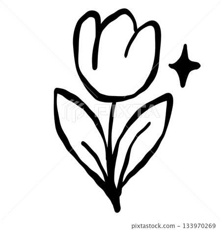 Cute tulip flower simple line art elegant floral illustration minimalist black and white doodle style charming spring theme Cute tulip flower simple line art elegant floral illustration minimalist black and white doodle style charming spring theme 133970269