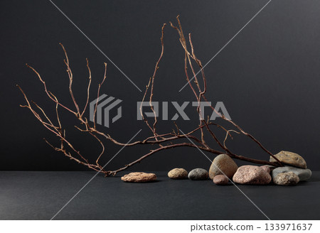 An intricately entwined branches and smooth stones against a black background. An intricately entwined branches and smooth stones against a black background. 133971637