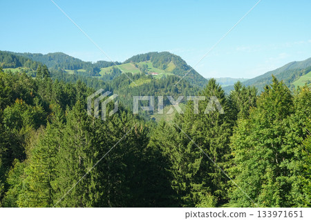 Beautiful alpine nature, wooded Alps in summer. Beautiful alpine nature, wooded Alps in summer. 133971651