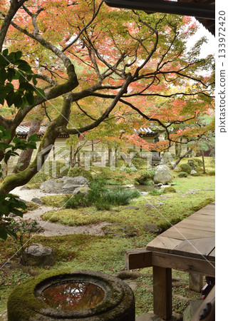 Autumn at Eikando Zenrinji Temple, Shakado South Garden (Sakyo Ward, Kyoto City) Autumn at Eikando Zenrinji Temple, Shakado South Garden (Sakyo Ward, Kyoto City) 133972420