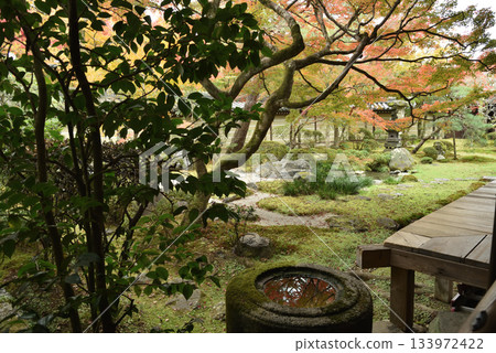 Autumn at Eikando Zenrinji Temple, Shakado South Garden (Sakyo Ward, Kyoto City) 133972422