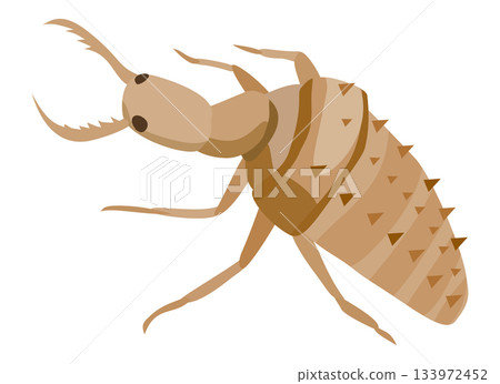 Illustration of a ant lion Illustration of a ant lion 133972452