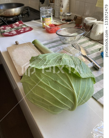 Now, what should we make with cabbage? Now, what should we make with cabbage? 133972479