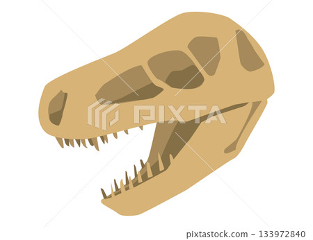 恐龍化石頭部的插圖 133972840